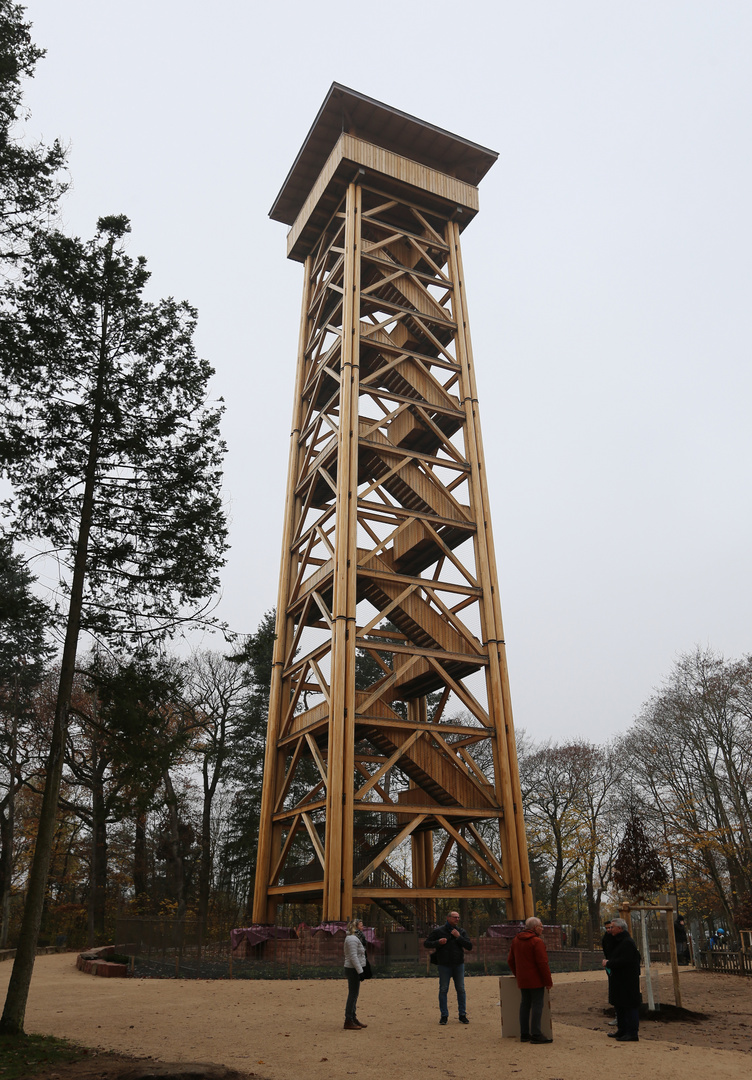 Goetheturm -neu-