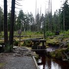 Goetheweg bei Torfhaus