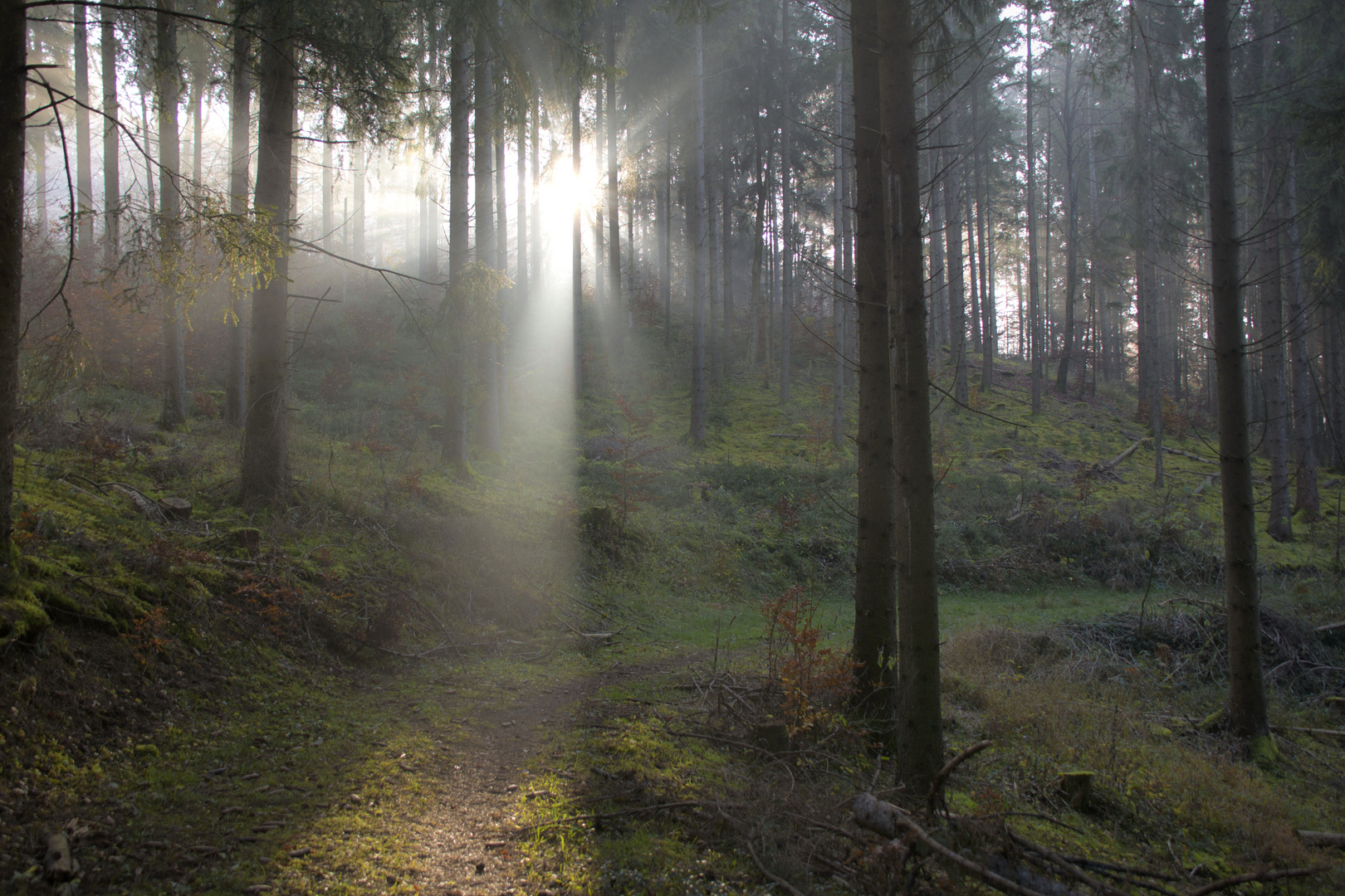 Götterdämmerung