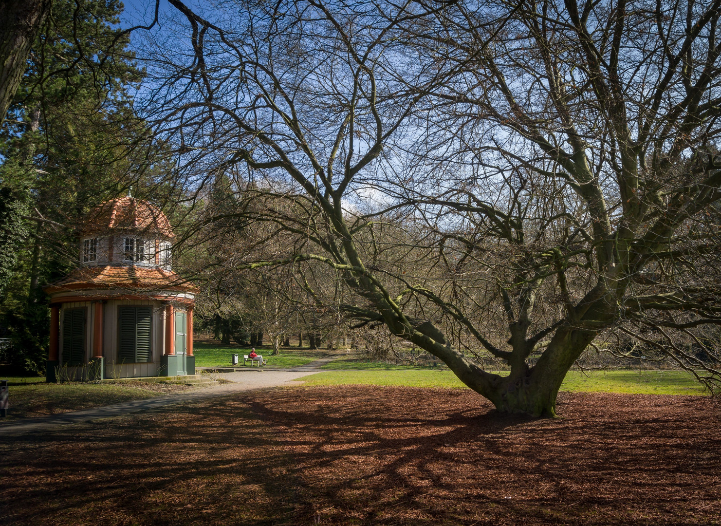 Göttingen im Frühjahr