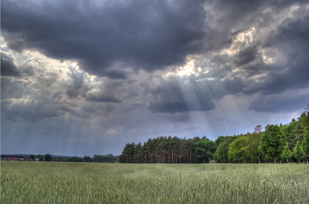 Göttliches Feld :)