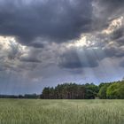 Göttliches Feld :)