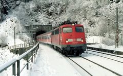 Götz und das Muränengestrüpp