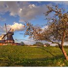 Götzberger Mühle mit blühendem Apfelbaum