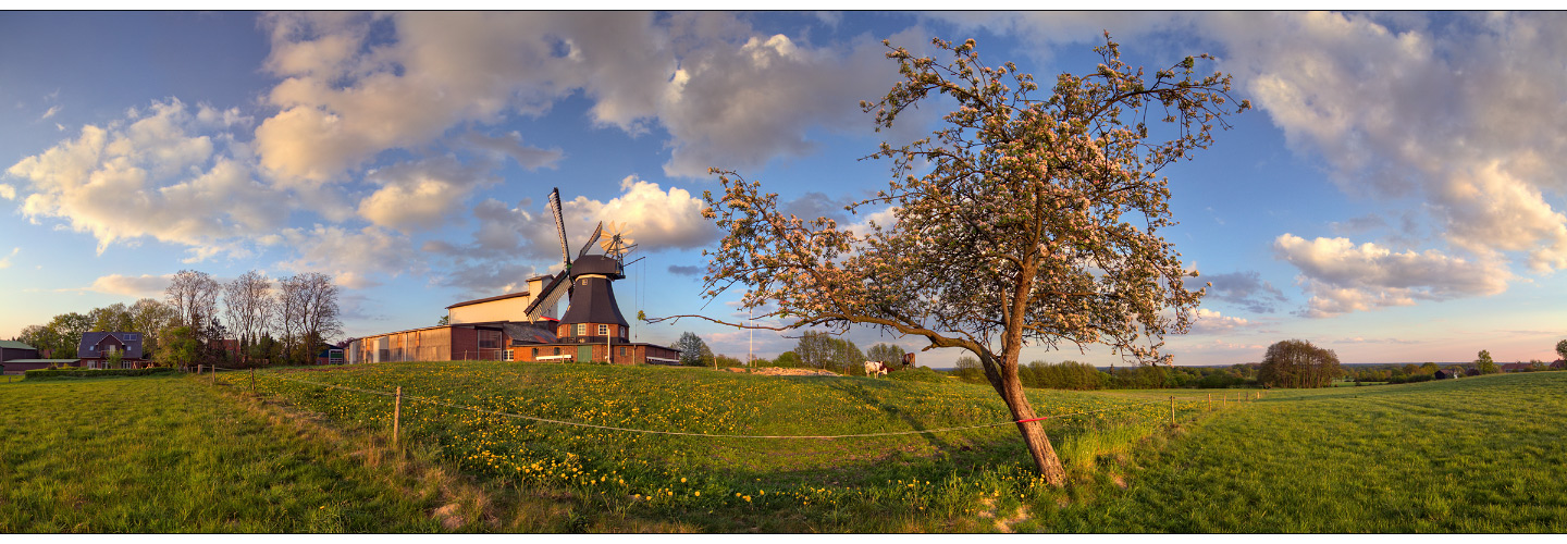 Götzberger Mühle mit blühendem Apfelbaum