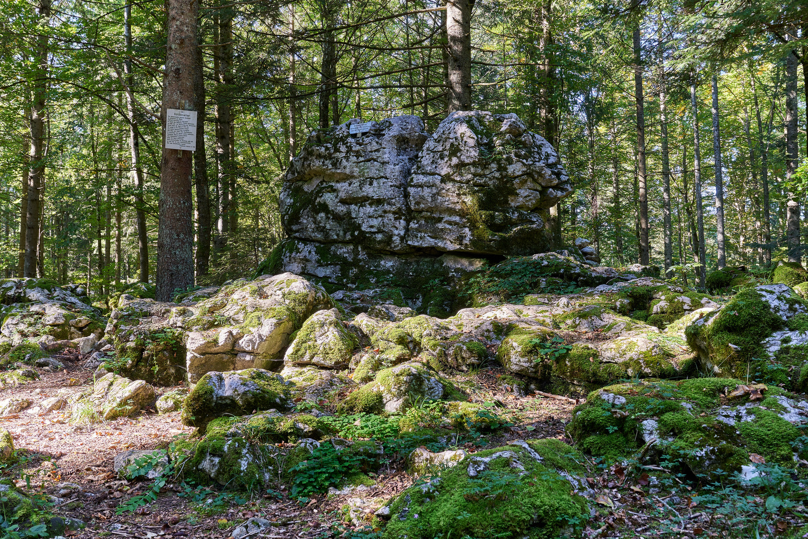 Götzenaltar 1