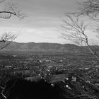 Götznerberg mit Blick ins Rheinthal.