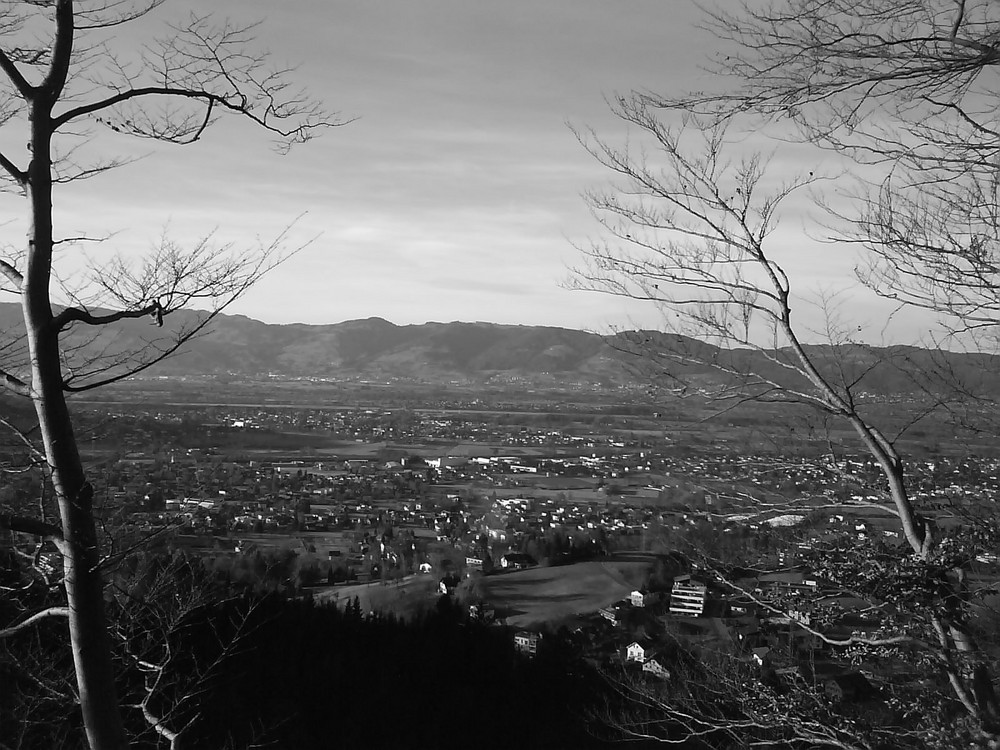 Götznerberg mit Blick ins Rheinthal.