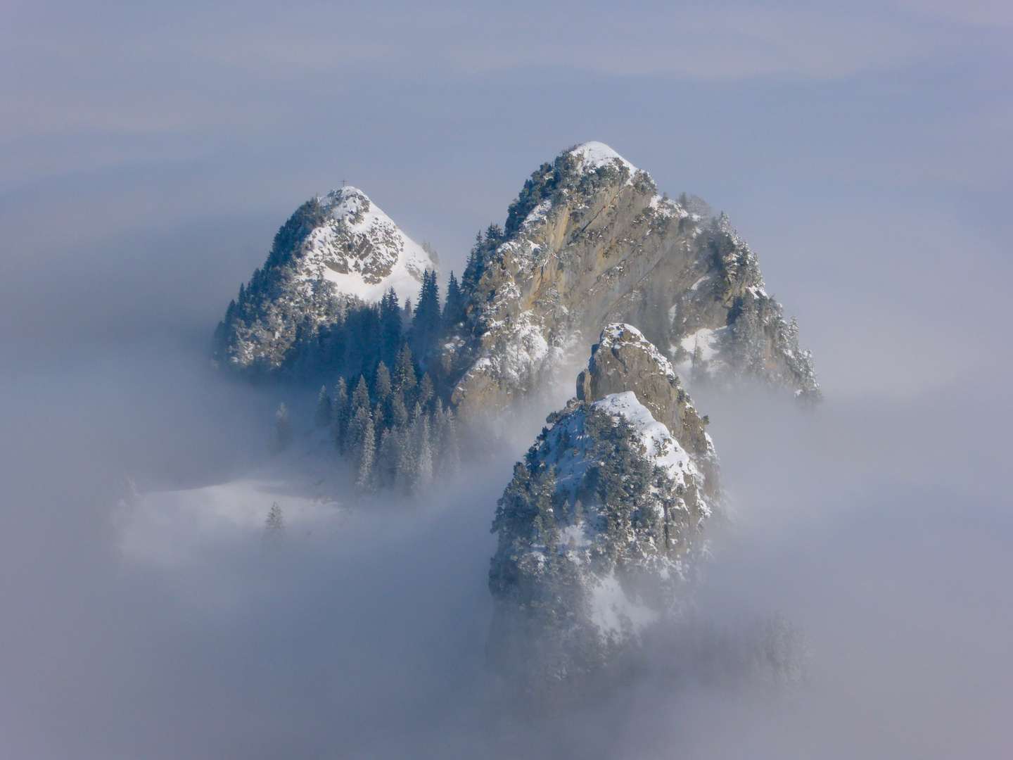 Goggeien im Nebel