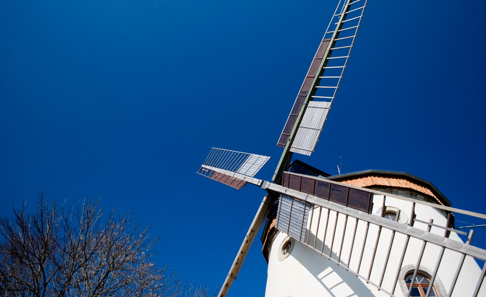 Gohliser Windmühle