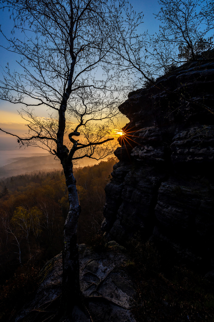 Gohrisch sonnengestreichelt