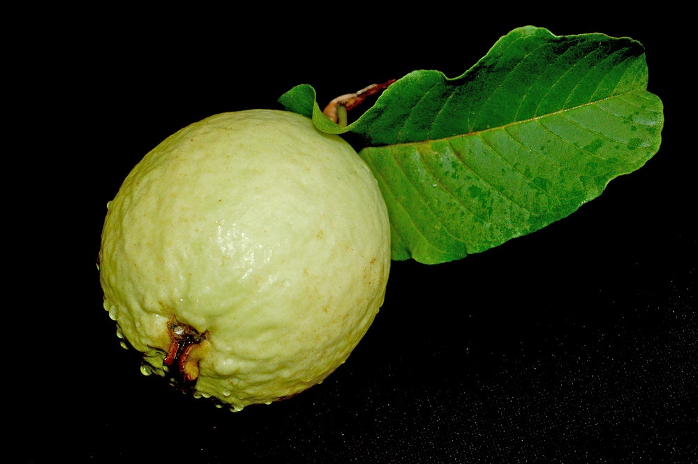 Goiaba/Guava