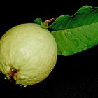 Goiaba/Guava