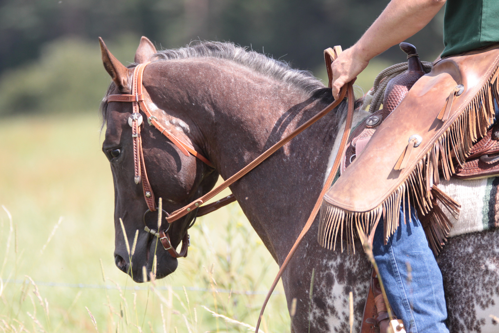 going country