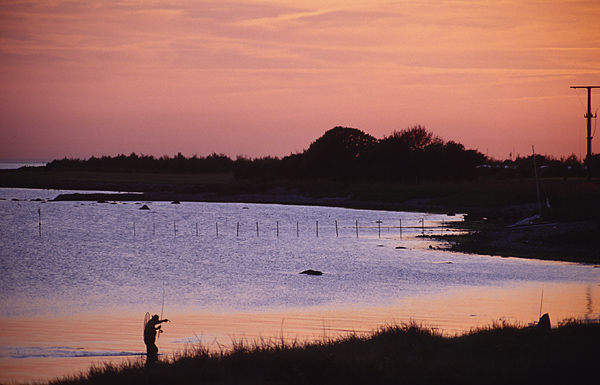 Going fishing 1