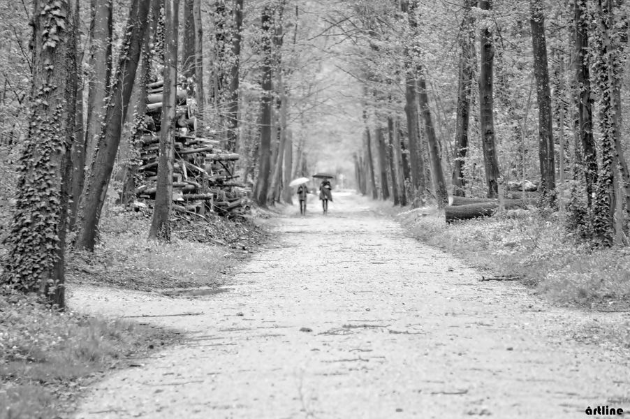 going for a walk after the autumn storms