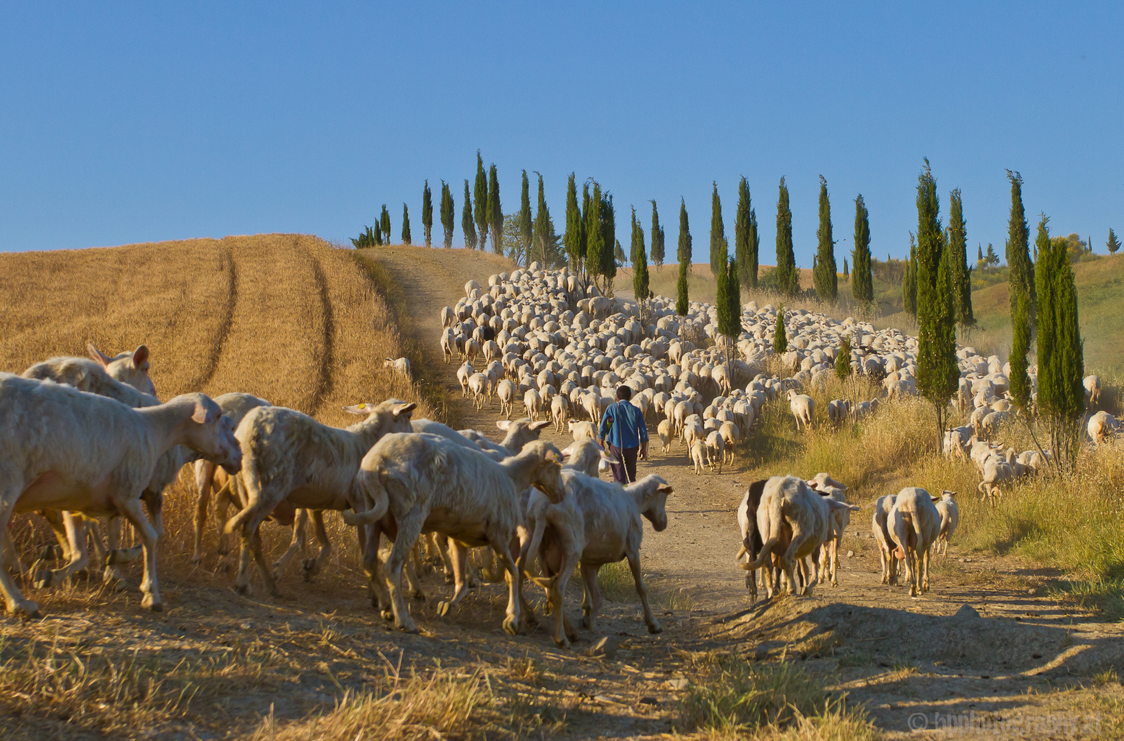 Going home after a sunny day...