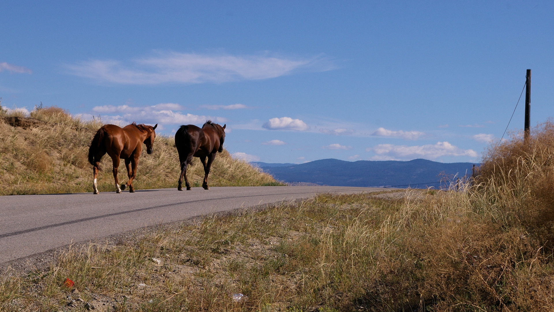 Going Home-Okanagan BC Canada s