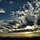 going home on hwy 395