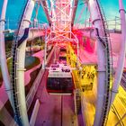 Going Up in the Orlando Eye