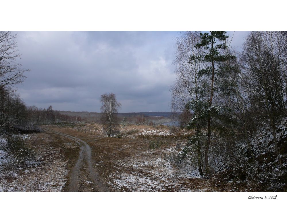 Goitzsche - Landschaft