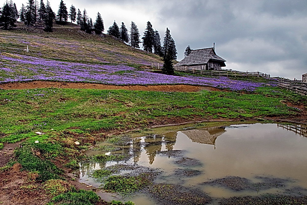 Gojska-Alm