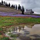 Gojska-Alm