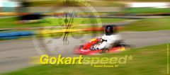 Gokart