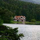 golcuk / BOLU / TURKIYE