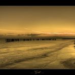... Gold ...