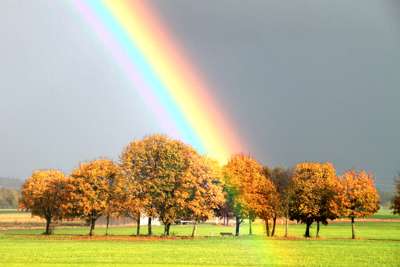 Gold am Ende des Regenbogens