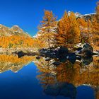 Gold am Lagh da Val Viola (280° Pano)