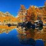 Gold am Lagh da Val Viola (280° Pano)