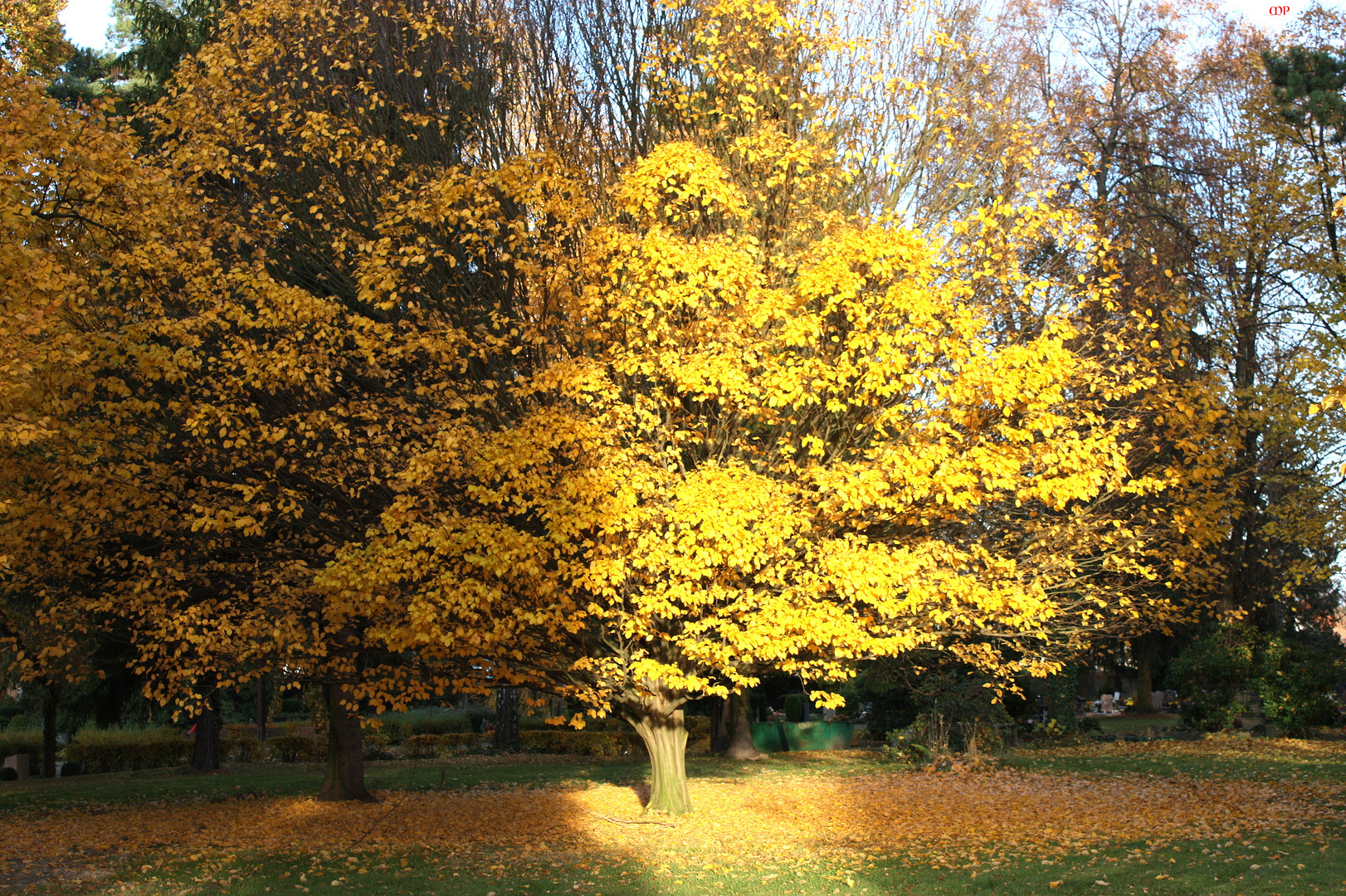 Gold auf dem Friedhof verteilt