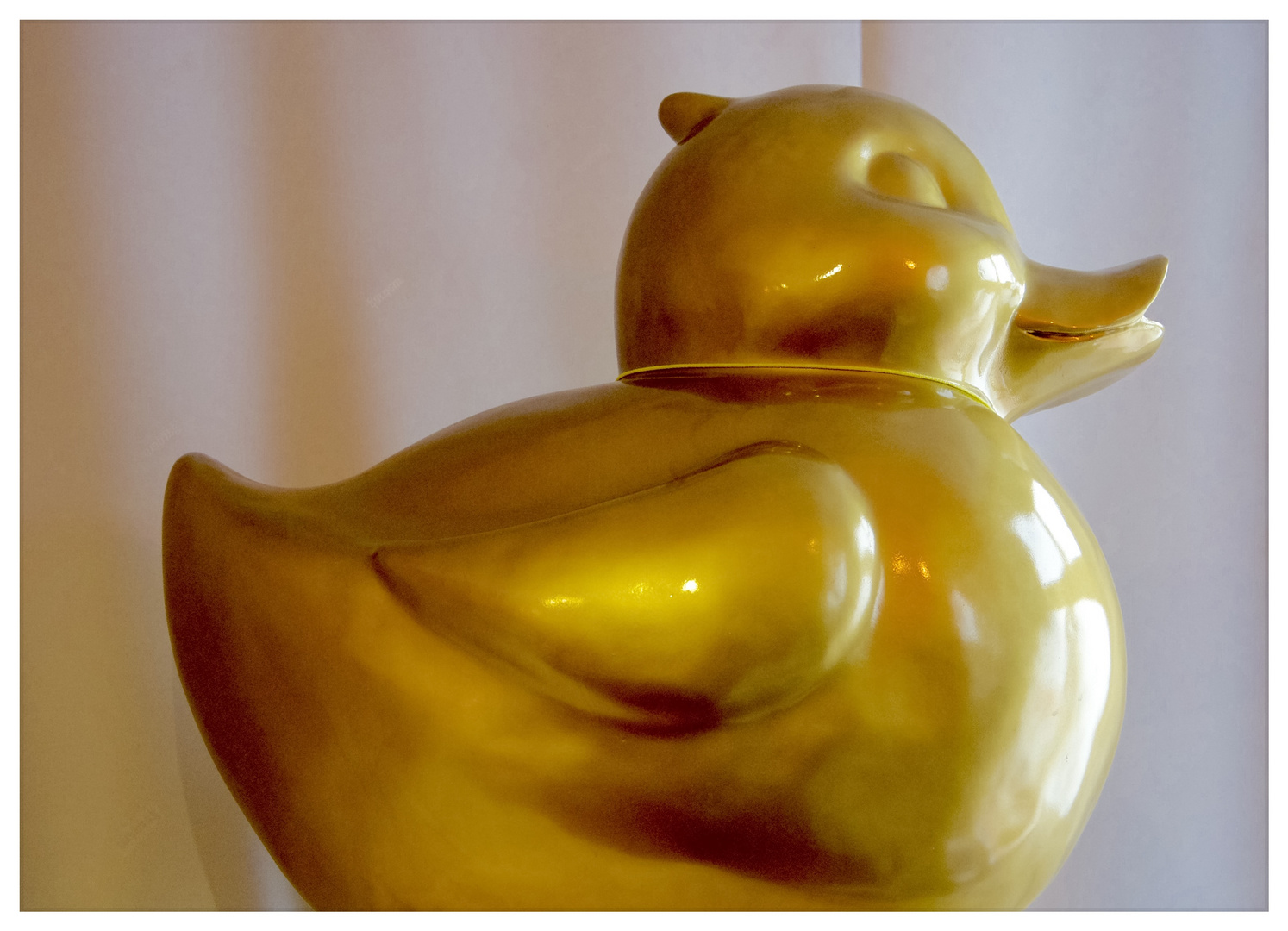 Gold Duck