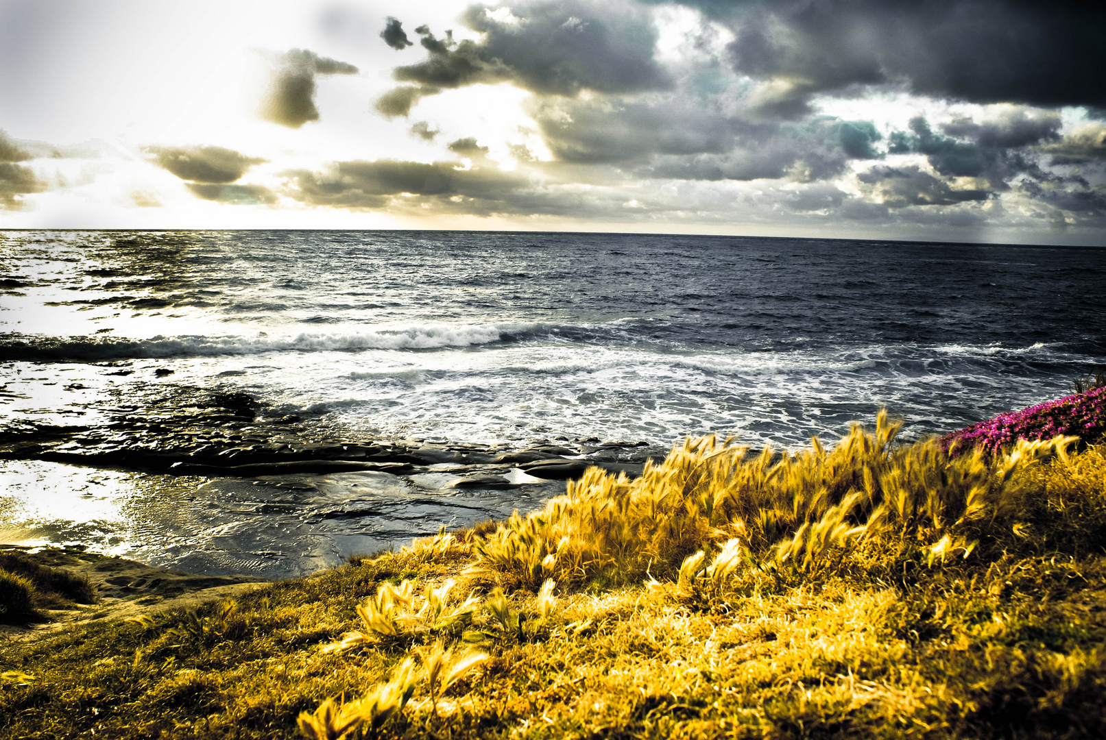 gold field, dark sky