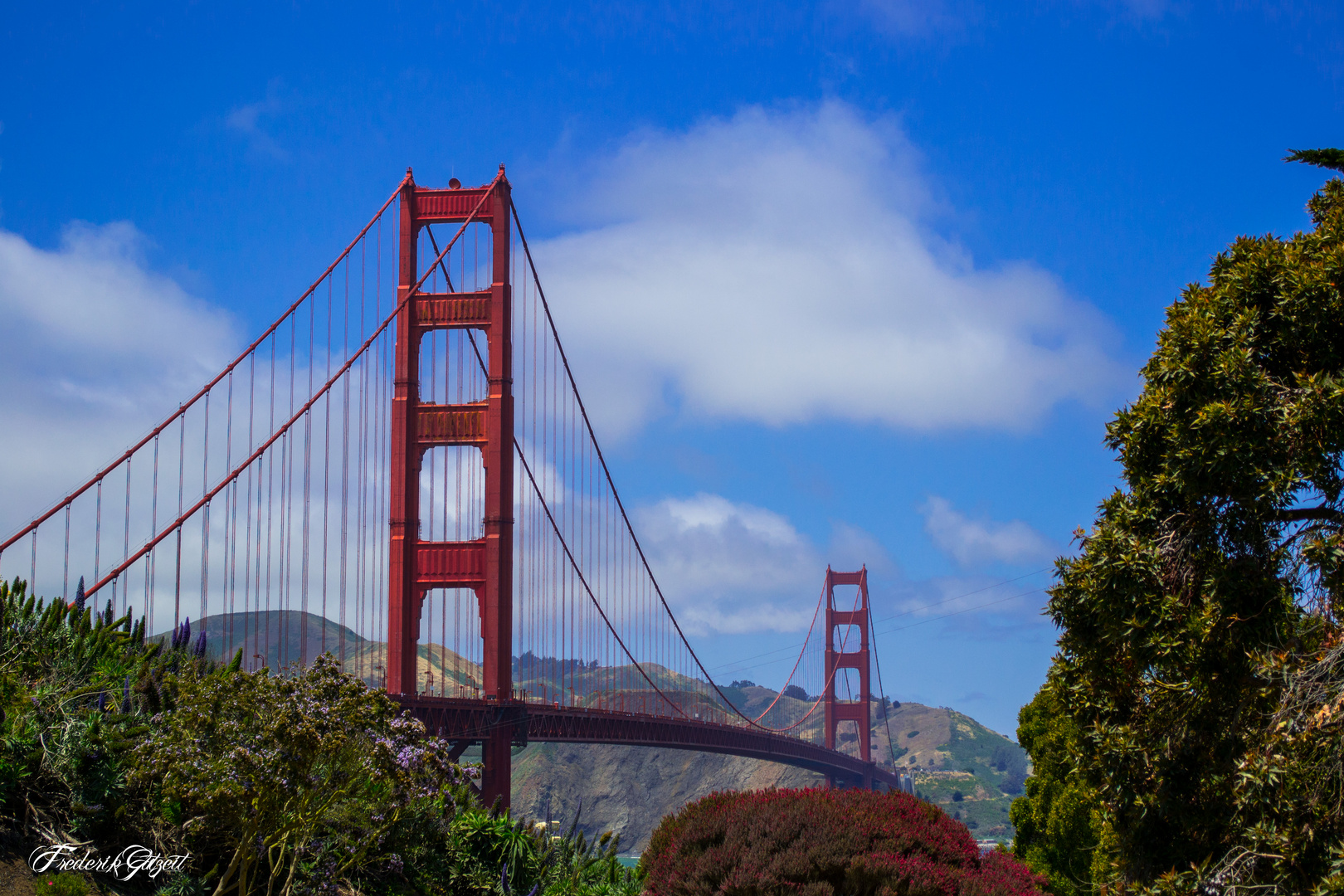 Gold Gate Bridge III