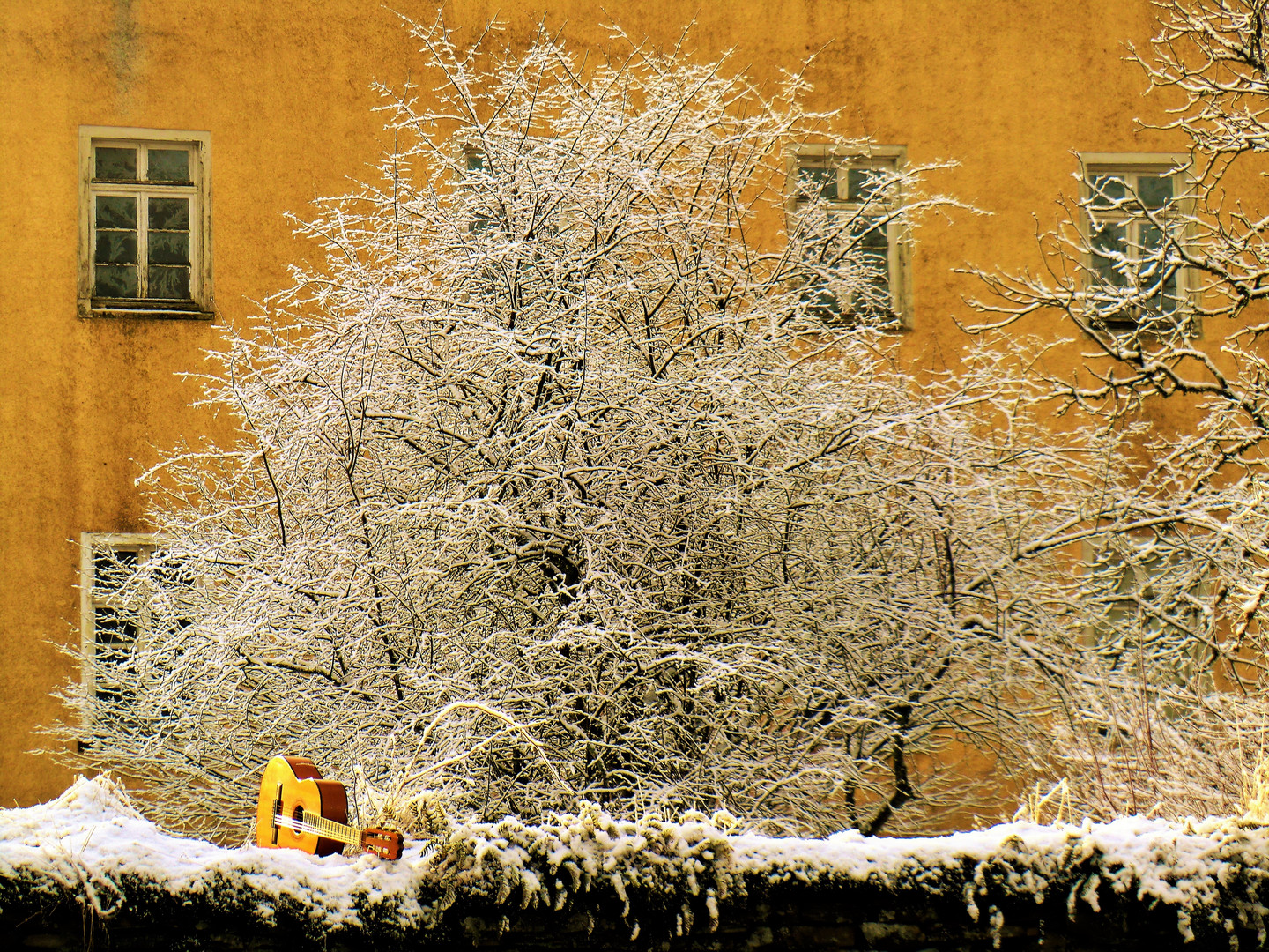 Gold, Gelb und Silberglanz