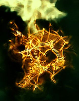 Gold-Gitter auf grün