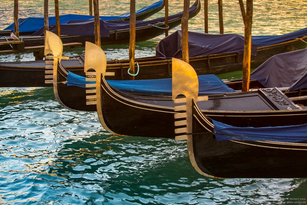 gold gondola