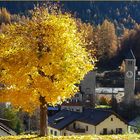 Gold im Engadin