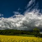 Gold in dunkle Wolken getaucht.