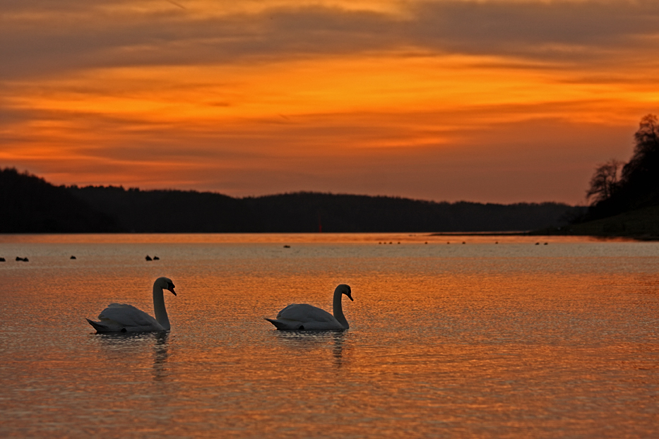 Gold mit etwas blau ........