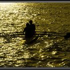 Gold rowing