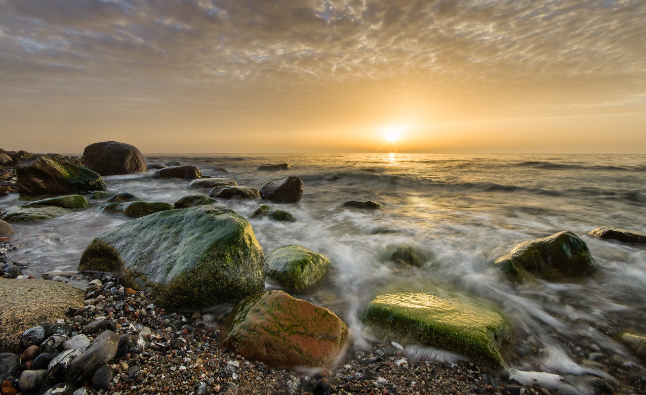 Gold Rügen 2