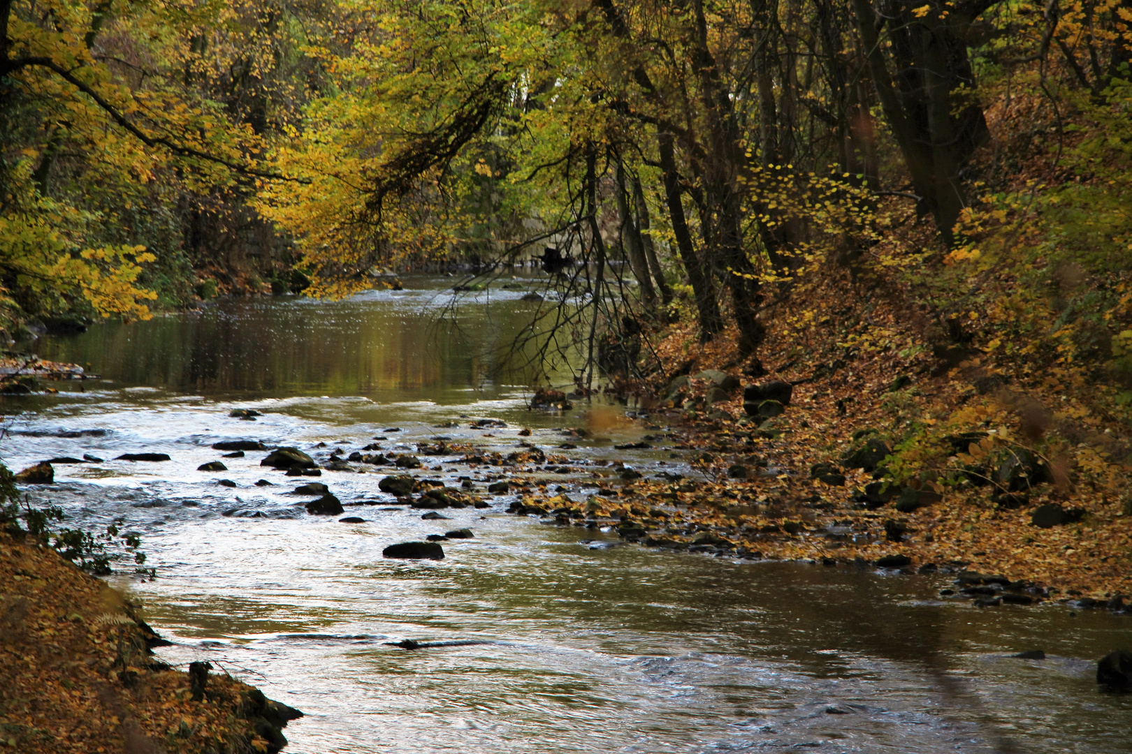 Gold schwimmt sogar auf dem Wasser. Aus Russland