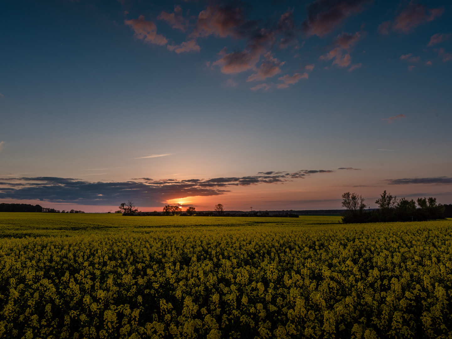 Gold überm Gelb