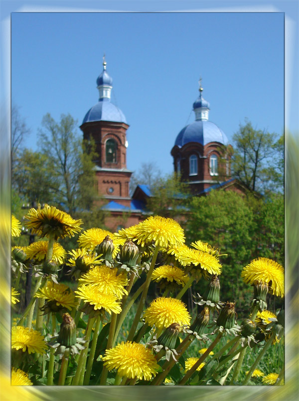 Gold und blau