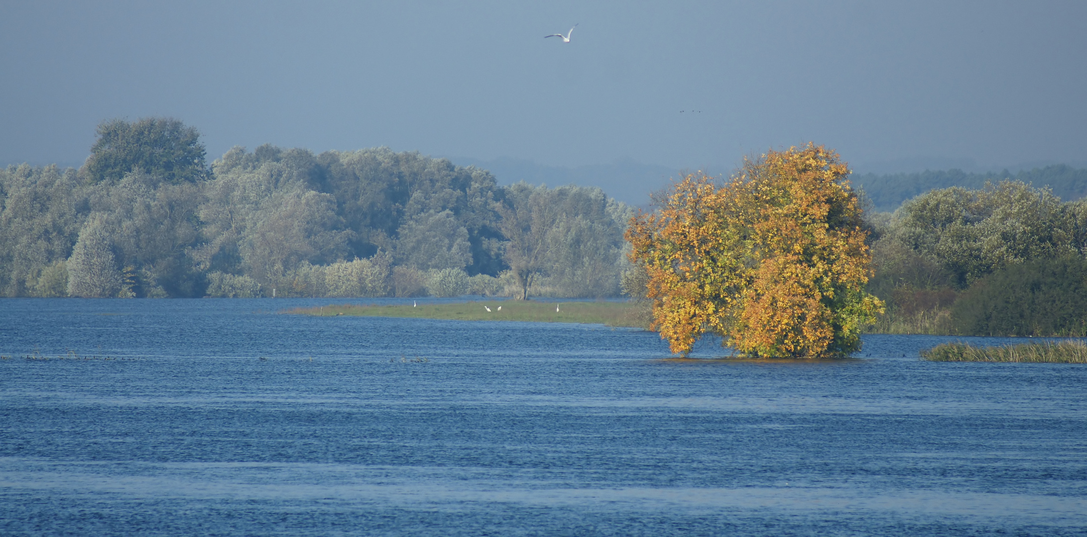 Gold und Silber im Herbst!