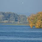 Gold und Silber im Herbst!